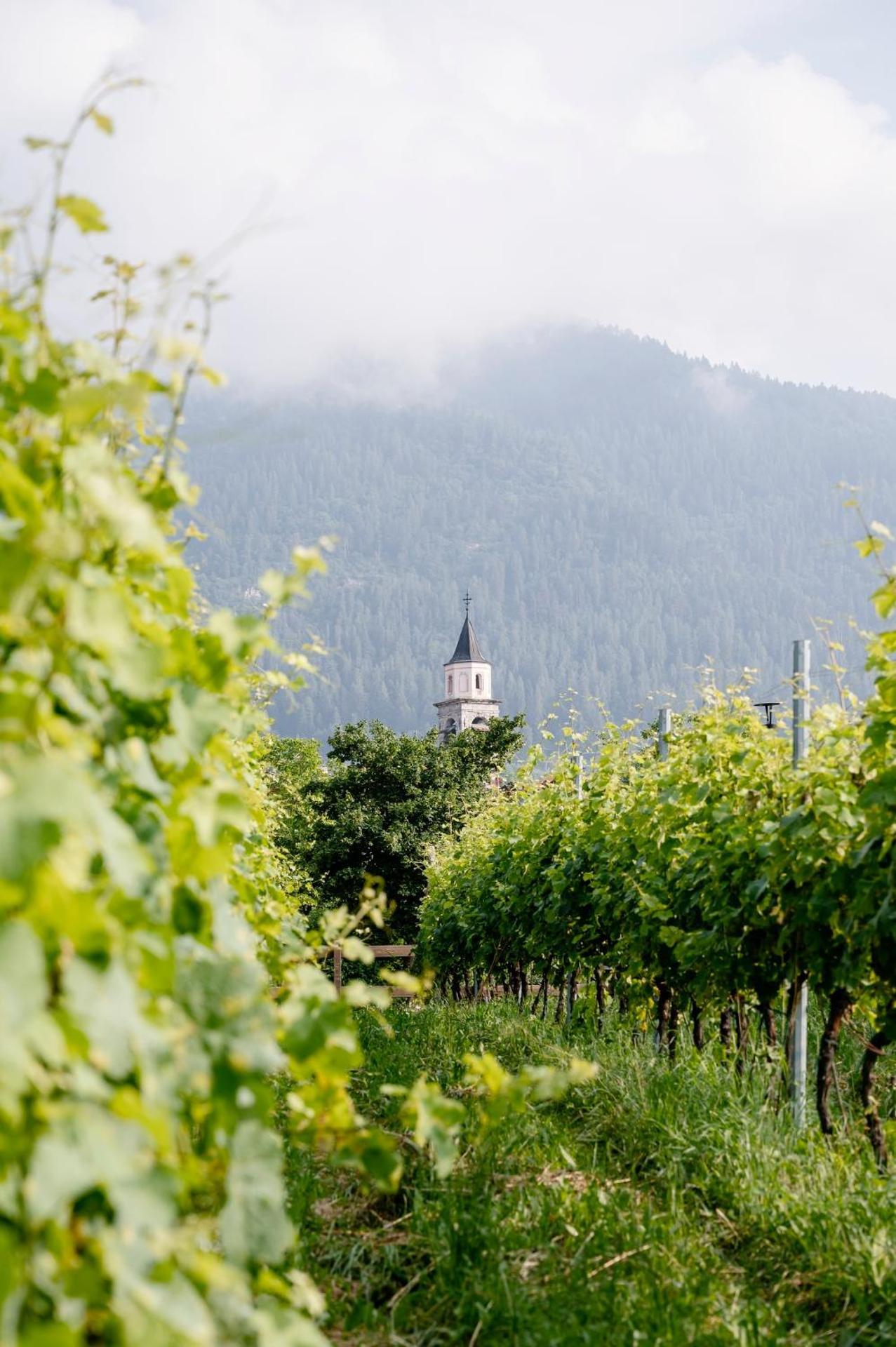 Agritur Maso Alle Rose B&B E Restaurant Balbido-rango Zewnętrze zdjęcie