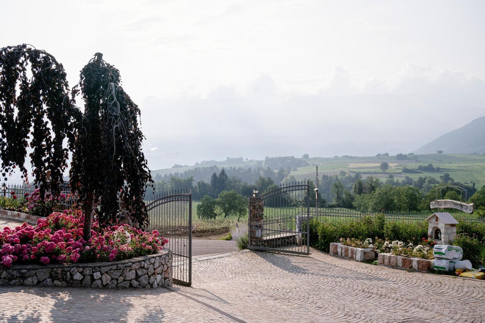 Agritur Maso Alle Rose B&B E Restaurant Balbido-rango Zewnętrze zdjęcie