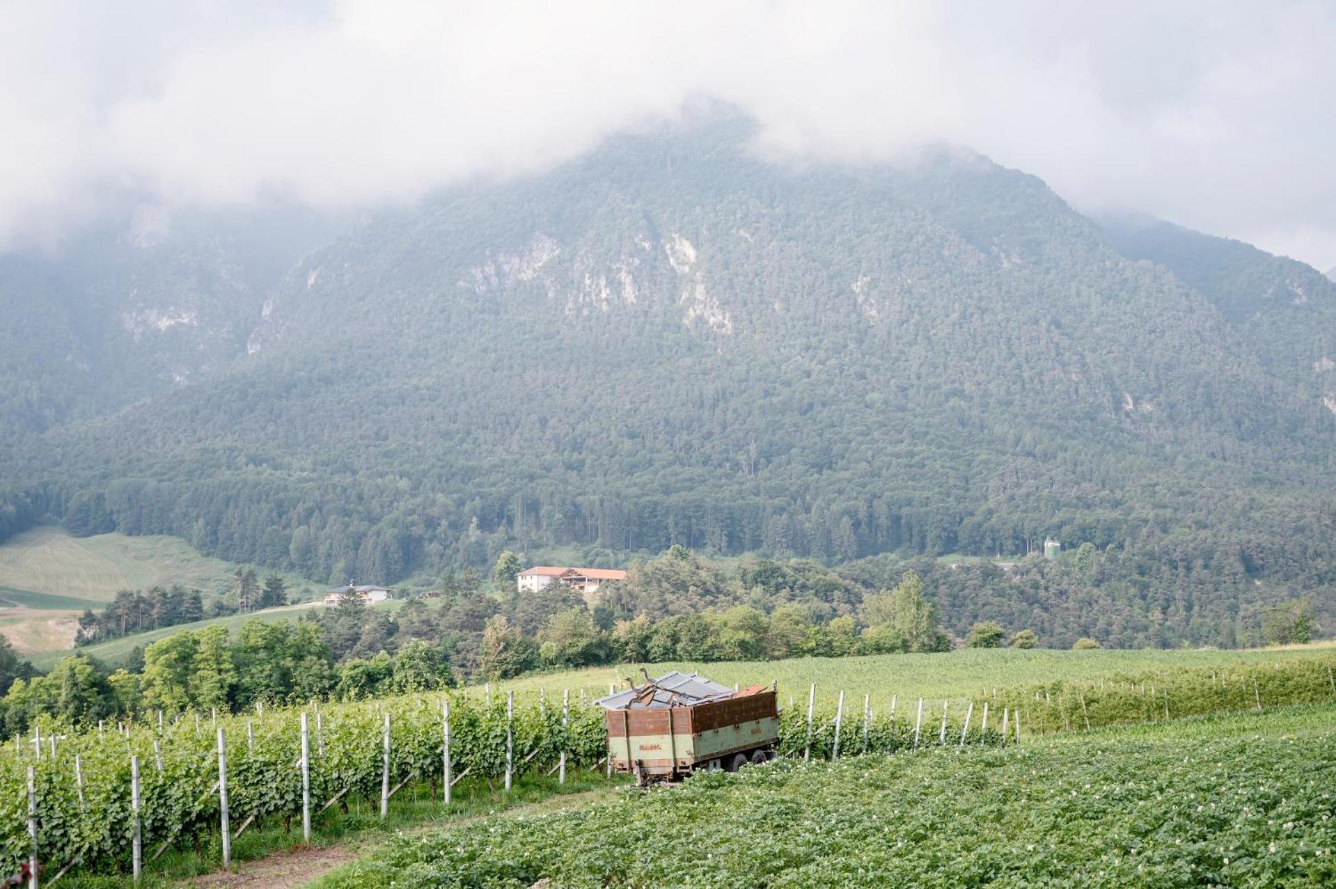 Agritur Maso Alle Rose B&B E Restaurant Balbido-rango Zewnętrze zdjęcie