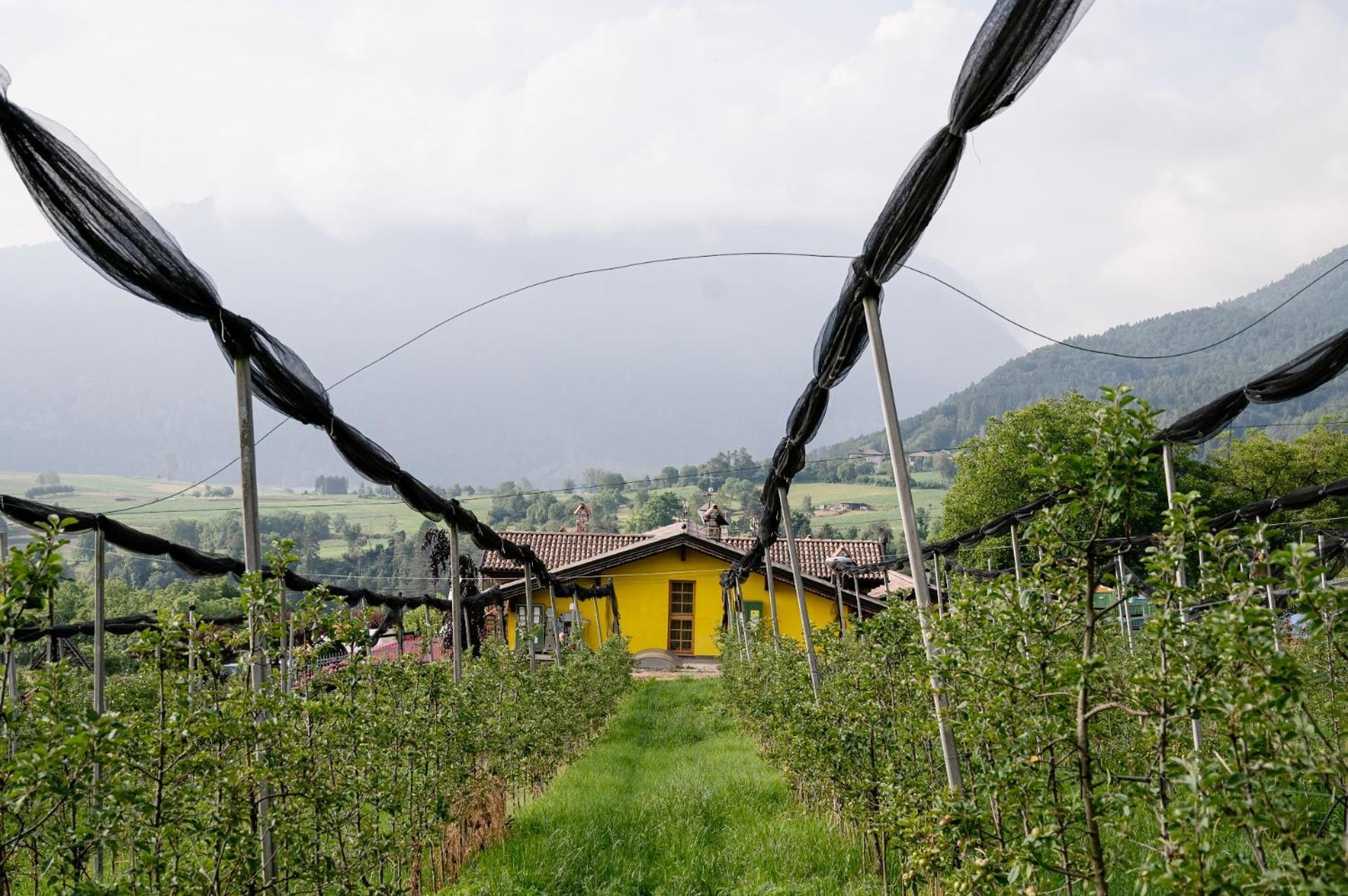 Agritur Maso Alle Rose B&B E Restaurant Balbido-rango Zewnętrze zdjęcie