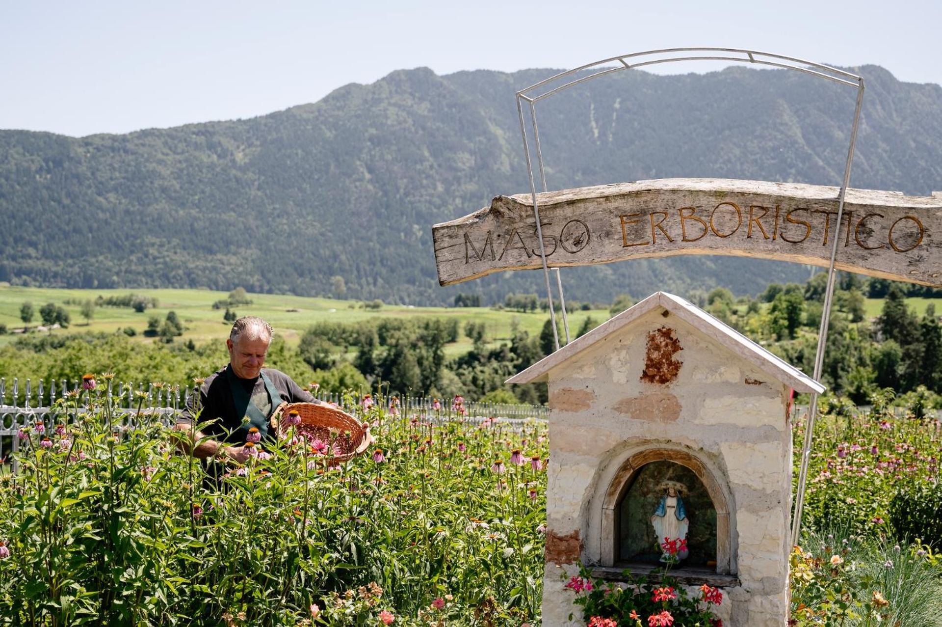 Agritur Maso Alle Rose B&B E Restaurant Balbido-rango Zewnętrze zdjęcie